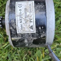 Electric Motor