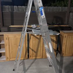 Werner Ladder