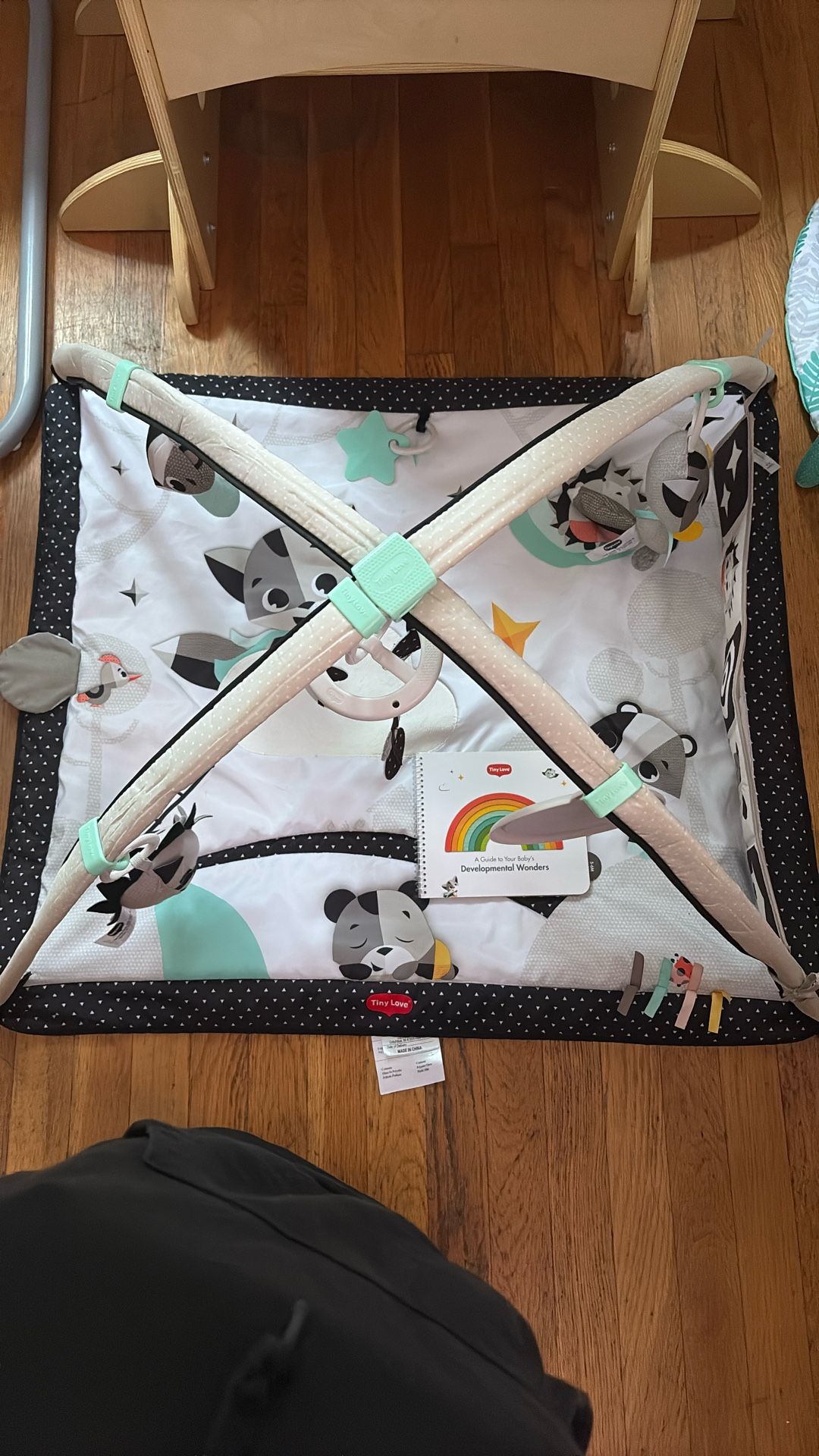 Tiny Love Play Gym