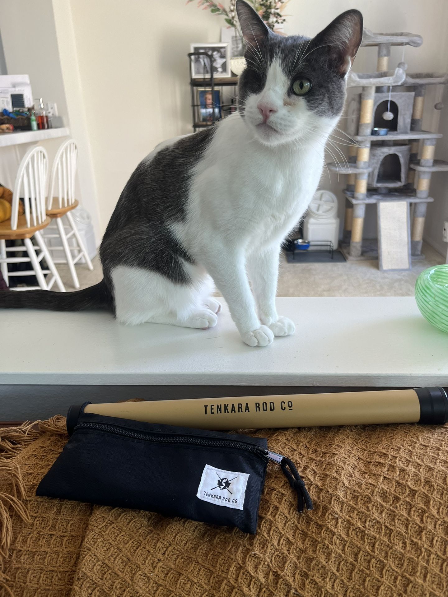 Tenkara Beartooth Fly Fishing Rod