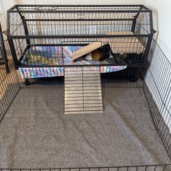 Guinea Pig Cage