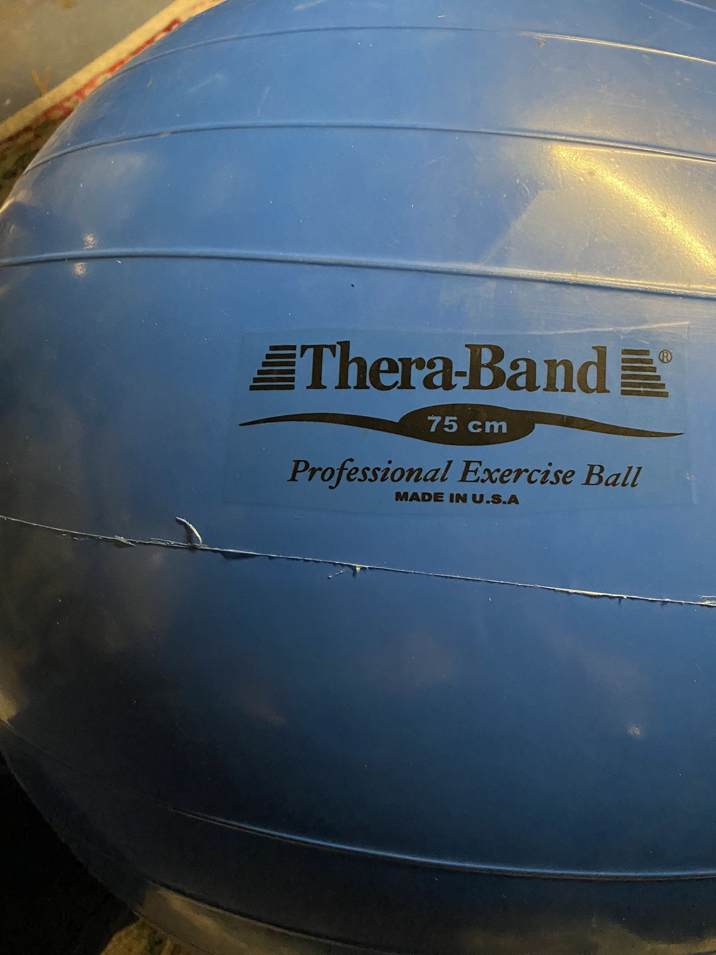 TheraBand Exercise Ball