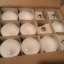 Philips Light Bulbs 12 Pack 