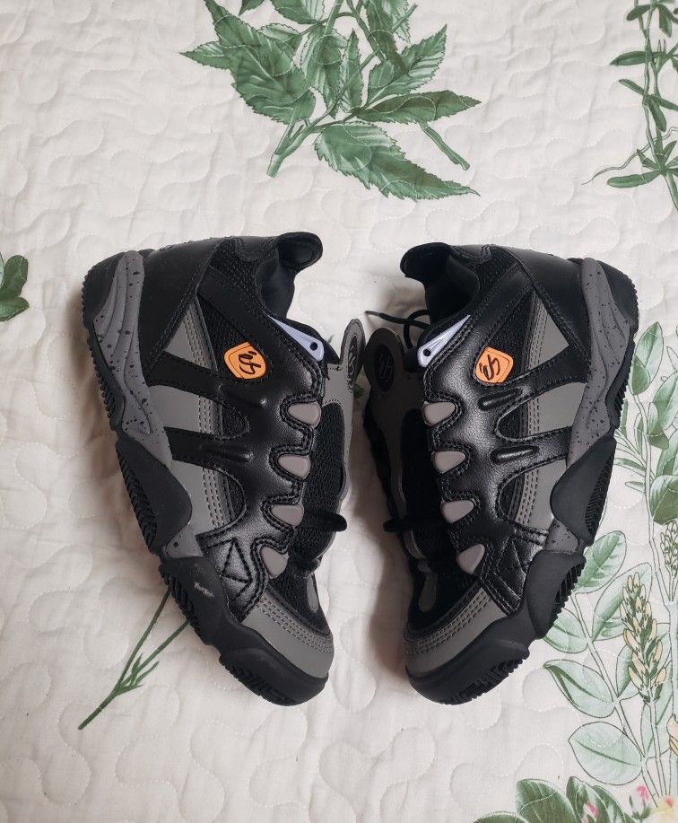 ES Scheme Skate Shoes New