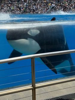 Sea World E -Ticket