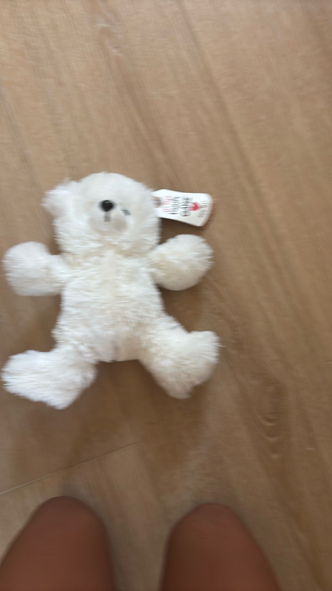Polar Bear