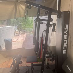 Brand New Suede trainer 