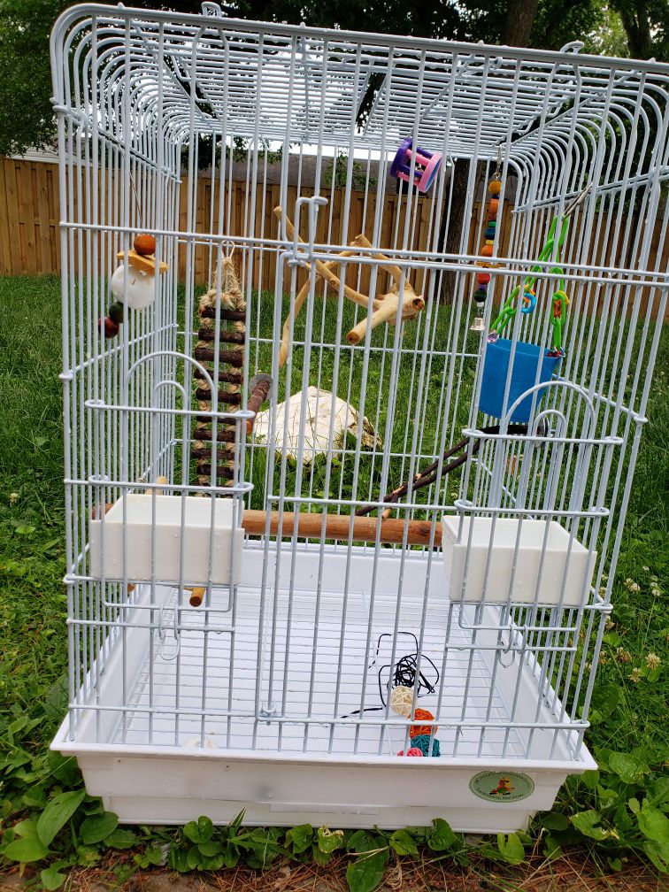 Great bird/parrot cage w all included