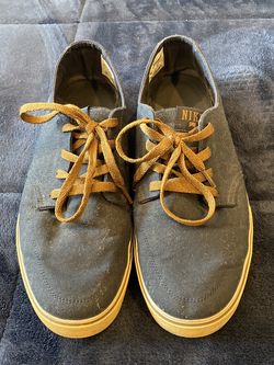 Nike SB shoes 