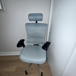 X-chair Desk Chair 