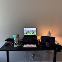Sleek Furmax Adjustable Standing Desk - Large 55in – $100 (OBO)