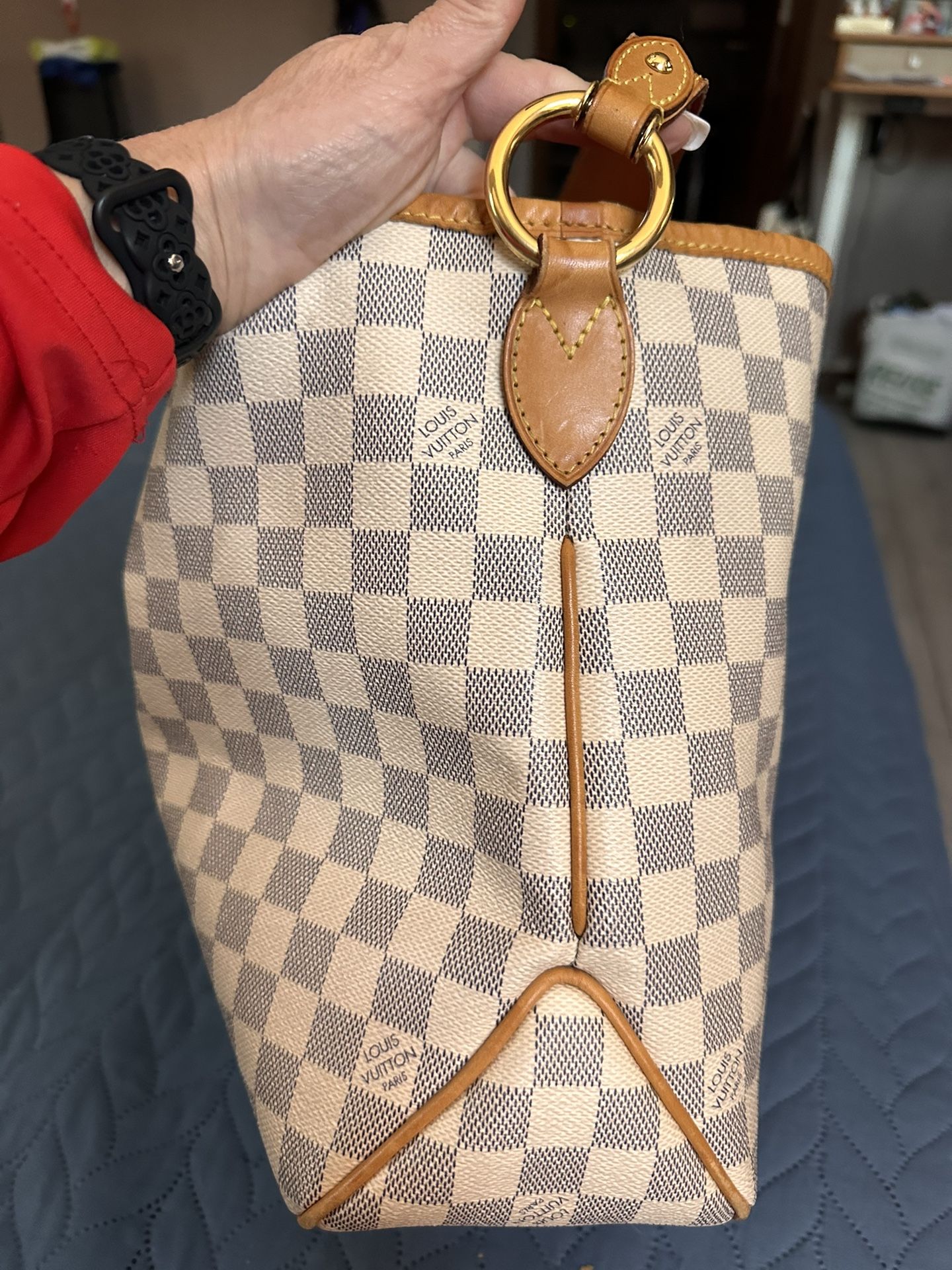 Louis Vuitton Hobo