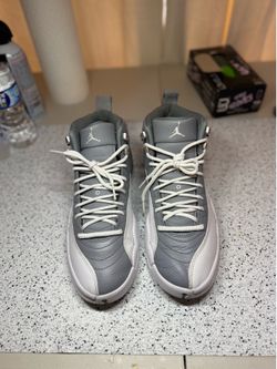 Jordan 12 “Stealth” Sz 9