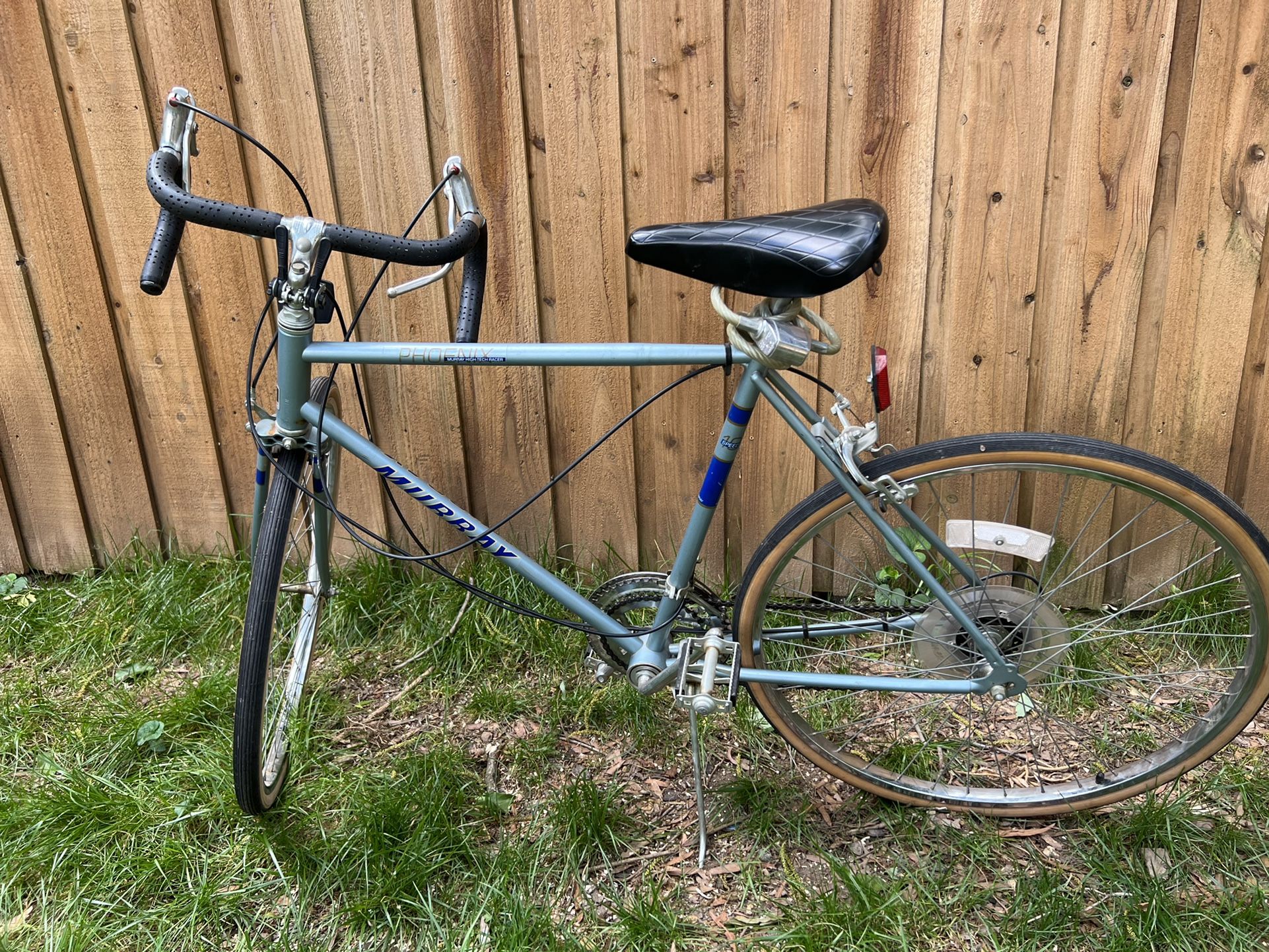 Vintage 10 Speed Bike