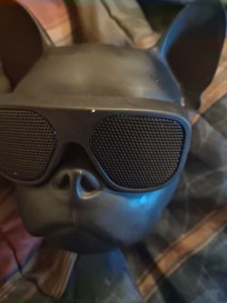 Speaker