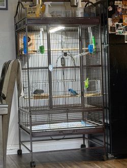 Bird cage