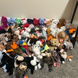 Beanie Babies