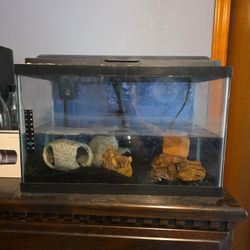 10 Gallon Fish Tank