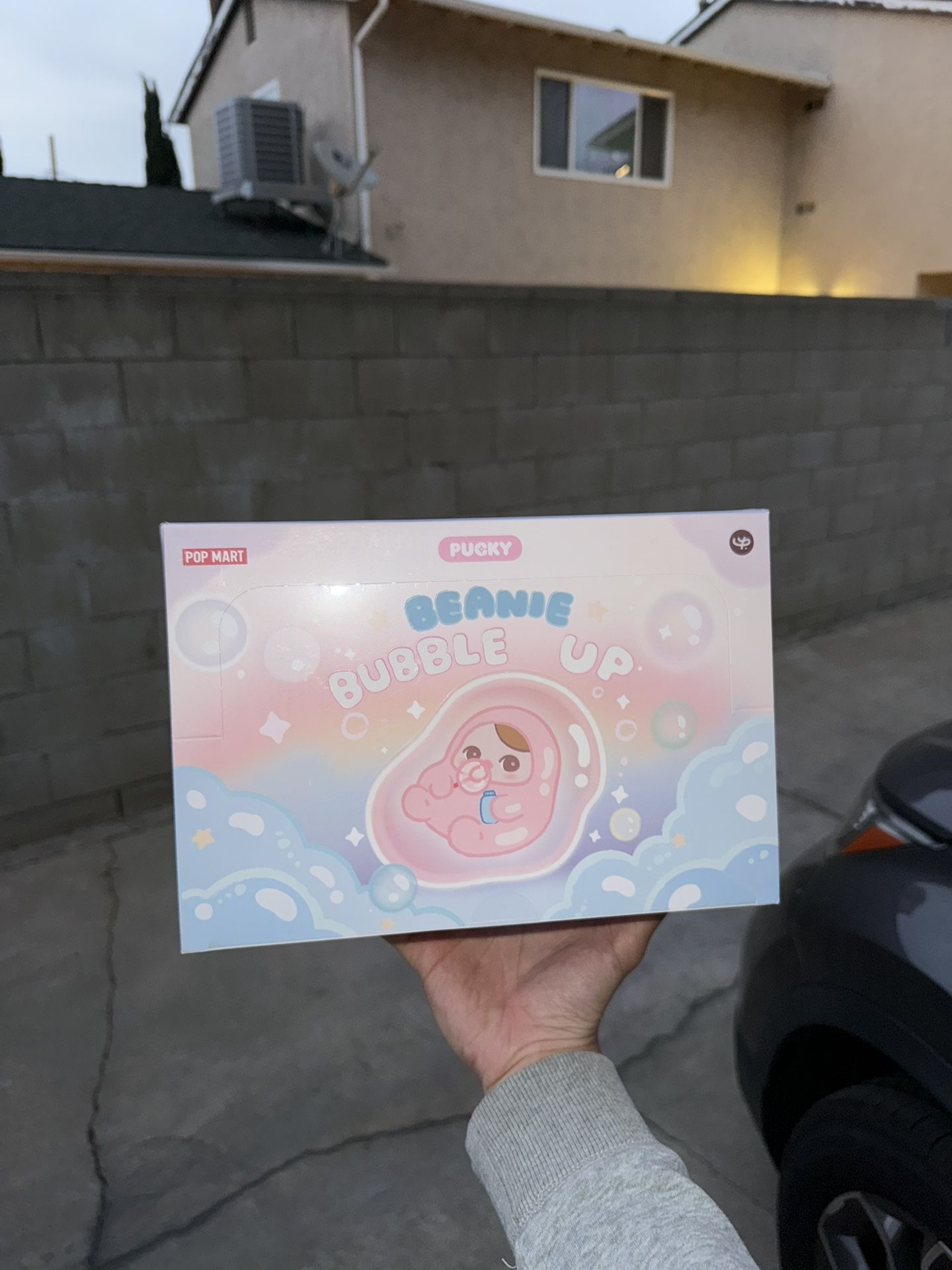 Pucky Beanie Bubble Up Pop Mart