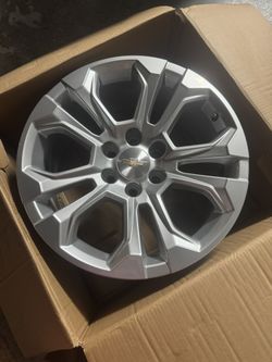 20 Inch Sterling Silver Painted Aluminum Wheels (RHO)