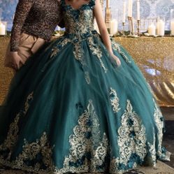 Quinceñera/Sweet 16 Elegant Dress 