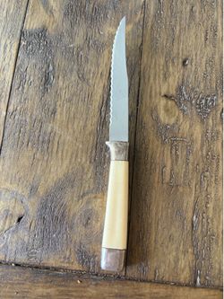 Vintage Regent Sheffield England Stainless Steak Knive