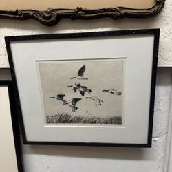 Antique Etching Of “Ducks In Flight”