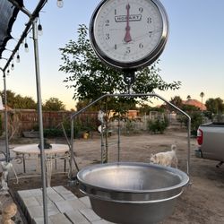 Hanging Produce Scale