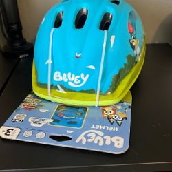 Bluey Helmet 3+
