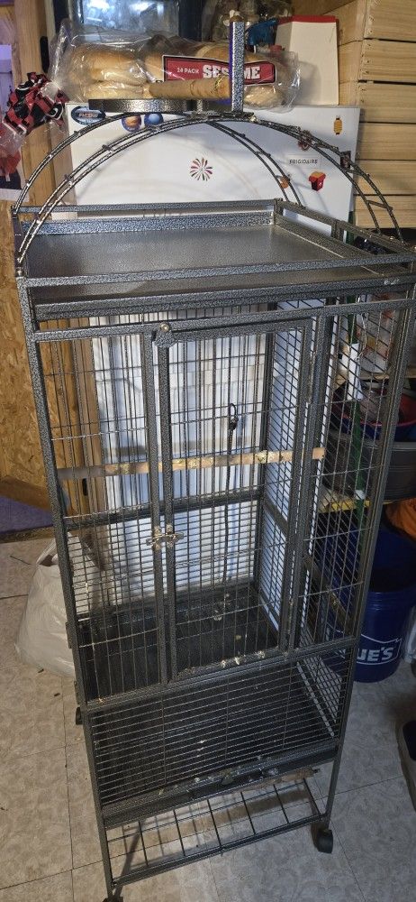 Bird Cage