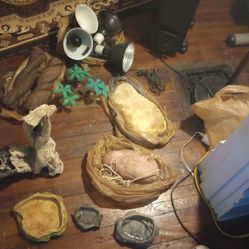 Reptile 🦎 Decorations And Accessories