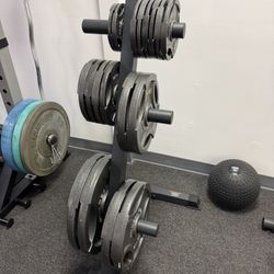 Rack with Weights – Olympic Plates Included