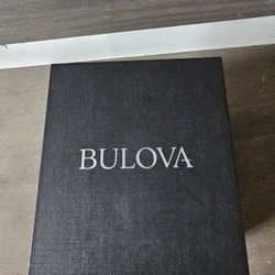 Basically New Bulova  Precisionist