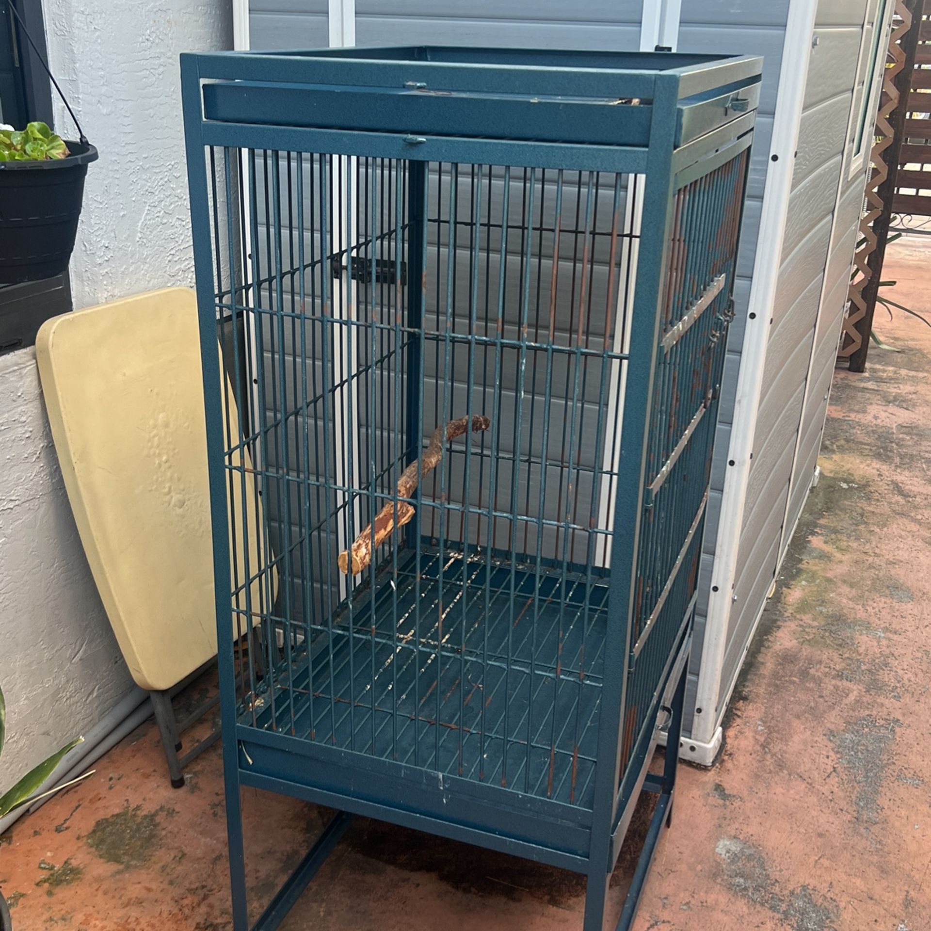 Jaula Para Loro, Cacatúa ,guacamaya