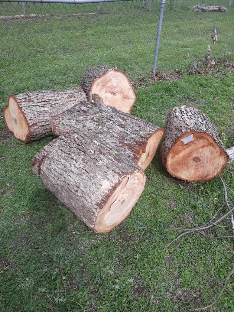 free pecan wood for Sale in San Antonio, TX OfferUp
