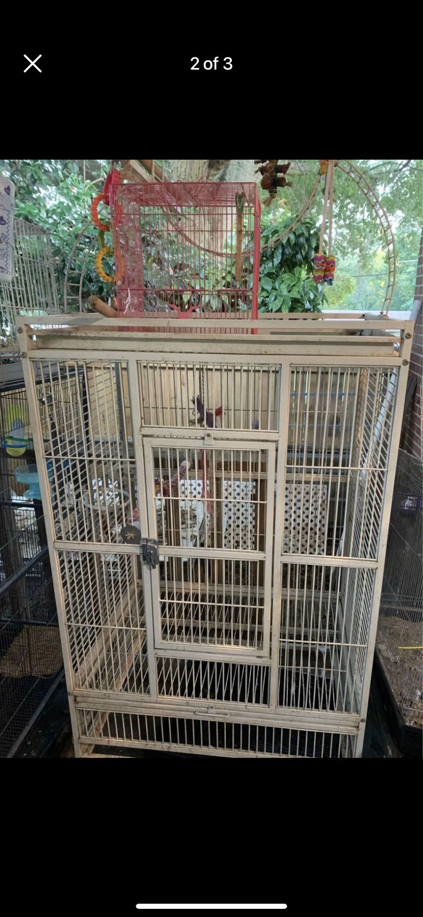 Bird Cage