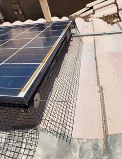 Bird Netting Solar Panels