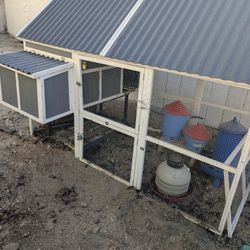 Chicken Coop