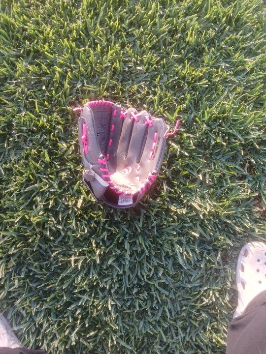 Baseball Glove