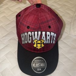 Harry Potter Hogwarts Hat