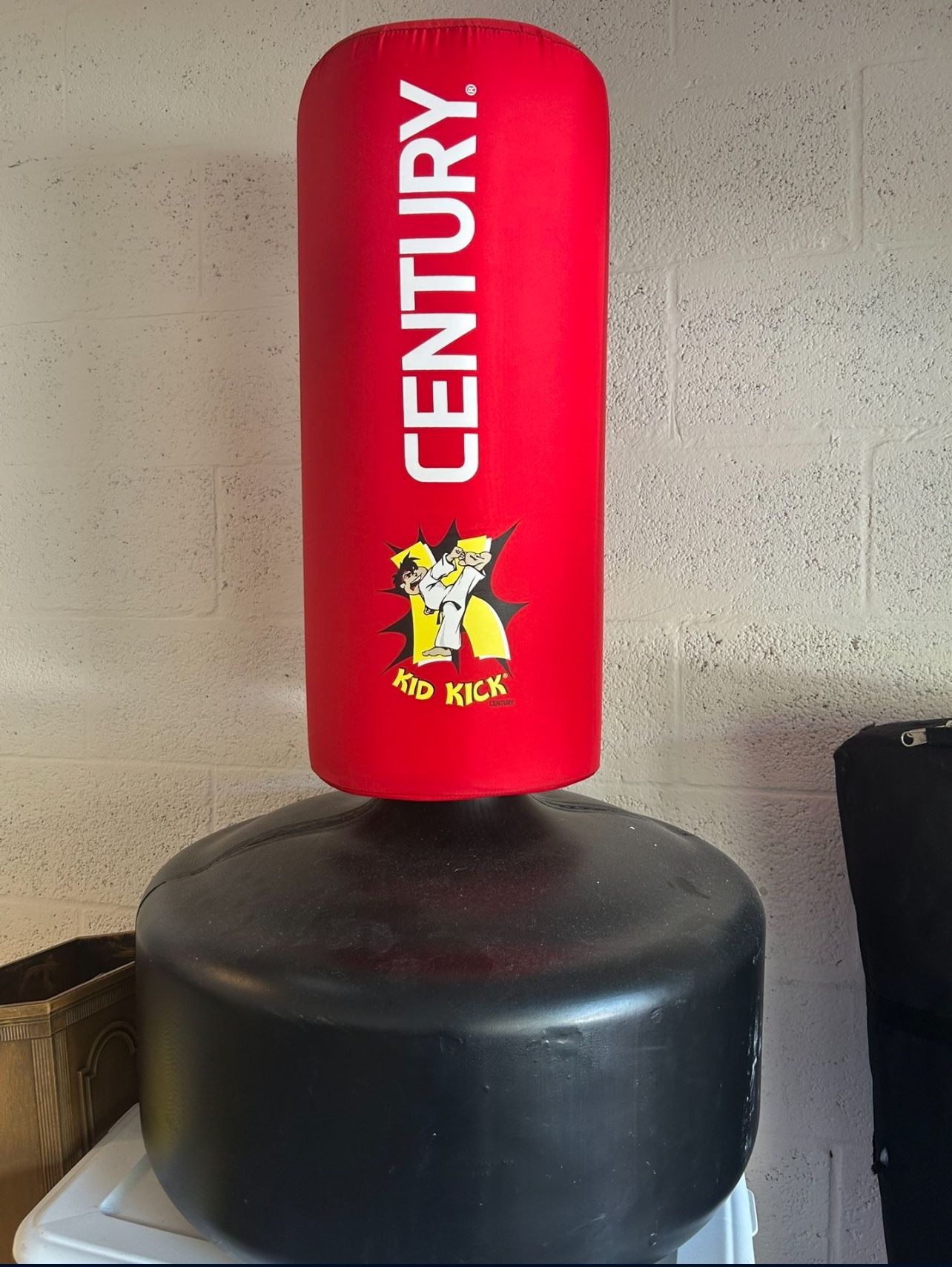 Century Youth Punching Bag