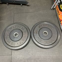 Bumper Weights Set