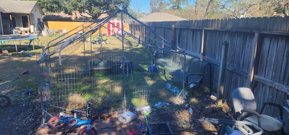 Chicken Cage