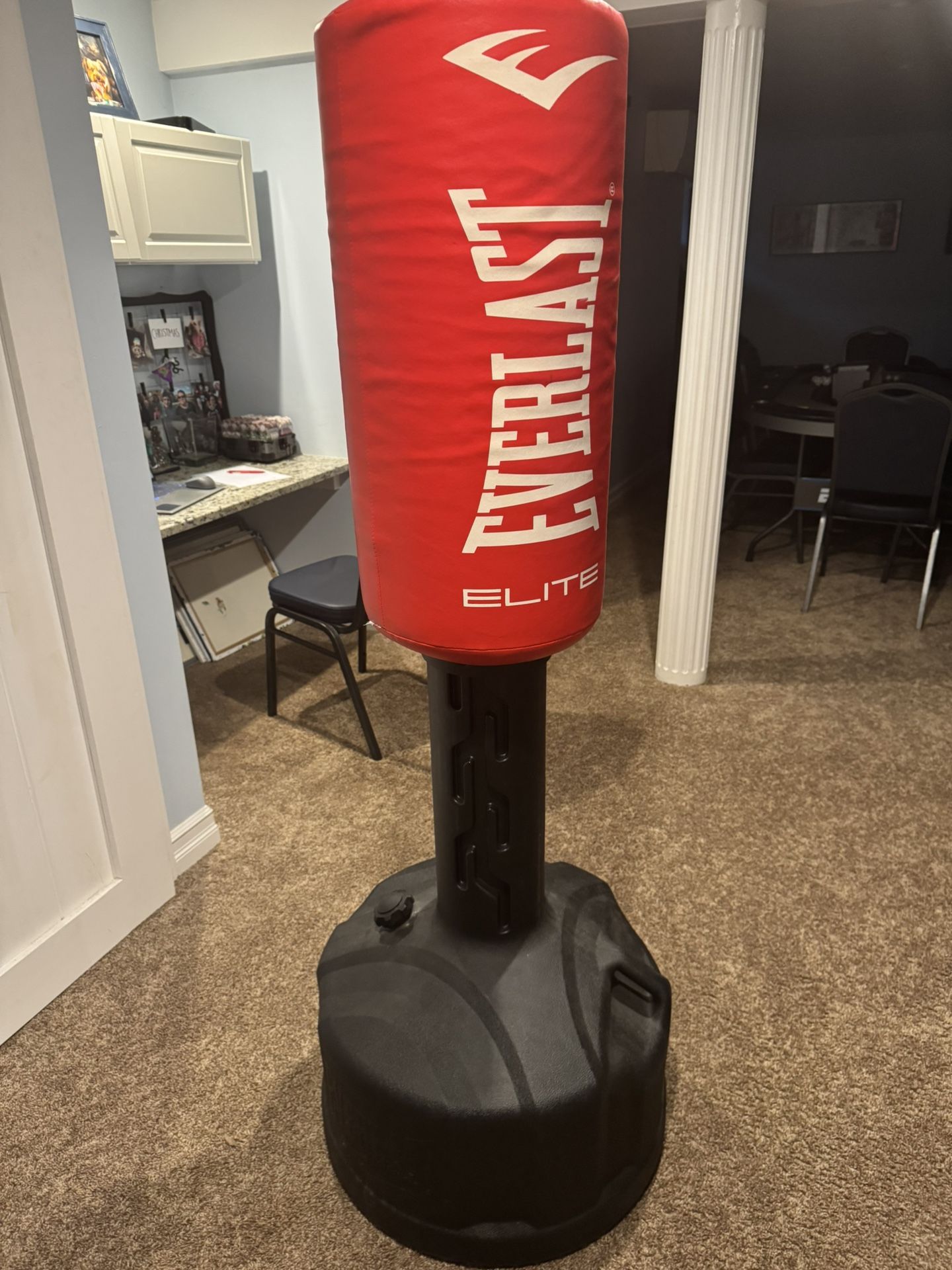 Everlast Punching Bag