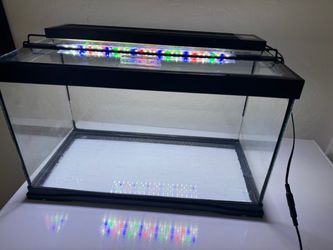 Aquarium with fancy lights