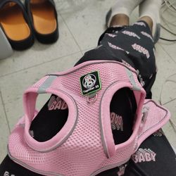 Pink Dog Harness For A Small Dog