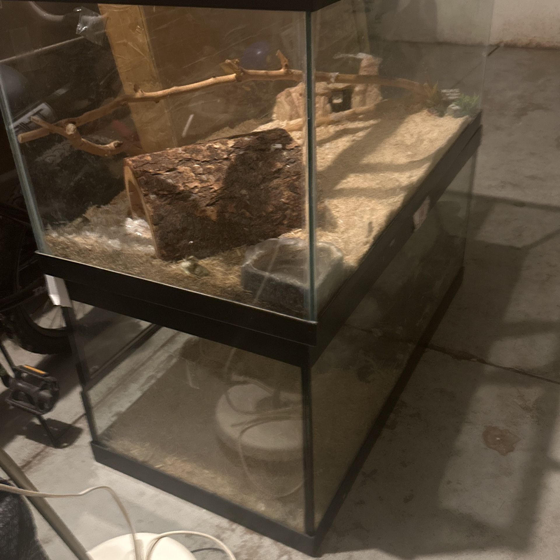Reptile Terrarium