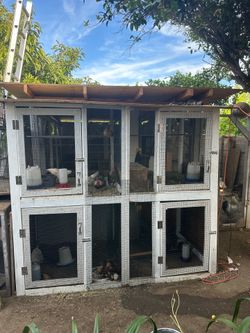 Jaulas/Cages Kikiris