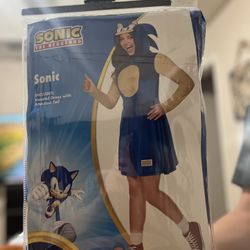 Sonic Woman Costume