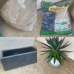 Blue Agave Plant, Planter Box, Landscape Rocks